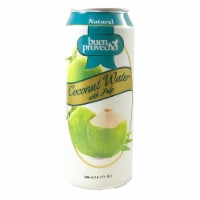 Buen Provecho Canned Nectar Coconut Water Perspective: Main