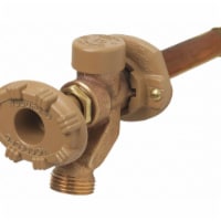 Woodford Manufacturing Frost Proof Silcock,Anti-Siphon,8 In. 19CP-8