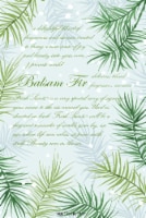 Fresh Scents™ Balsam Fir Scented Sachets Perspective: Main