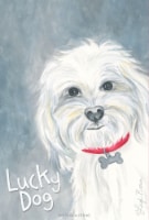Willow Brook Lucky Dog Sachets Perspective: Main