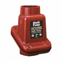 Liberty Pumps Swing Check Valve,Cast Iron,2 ,FNPT  HCV200