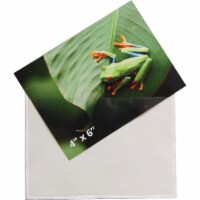 Tarifold  4 x 6 in. Self - Adhesive Index Card Pockets with Top Opening