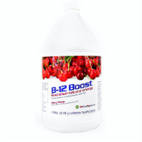 High Performance Fitness, Inc. 1st Step Liquid B-12, Cherry Charge, 1 Gallon