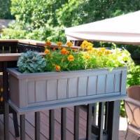 Mayne 4840-GRG 3 ft. Cape Cod Window Box, Graphite Gray