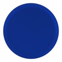 8.5  Light Blue Flat Round Disposable Plastic Appetizer/Salad Plates (120 Plates)
