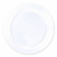 9  Solid White Economy Round Disposable Plastic Buffet Plates (120 Plates)