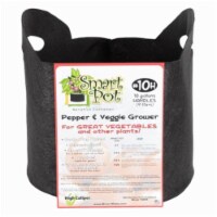 High Caliper Salad & Herb Grower Smart Pot Perspective: Main