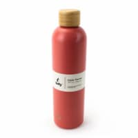 Sully Innovation Stainless Steel Water Bottle - Coral Perspective: Main