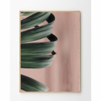Tropical Print 40 x 50cm