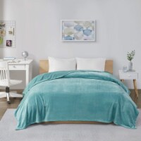 Intelligent Design Microlight Plush Oversized Blanket, Full/ Queen, Aqua