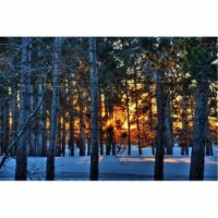 North American Art NPA1021 24.5 x 36 in. Evening Serenity Landscape Wood Pallet Art Print
