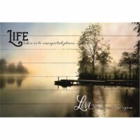 North American Art NPA1026 24.5 x 36 in. Spillway with Life Love Landscape Wood Pallet Art Pr