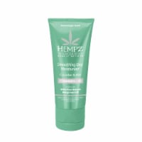 Hempz Beauty Actives Cucumber & Aloe Smoothing Day Facial Moisturizer with Ceramides + B3 Perspective: Main
