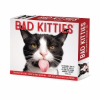Bad Kitties® 2025 Daily Box Calendar Perspective: Main