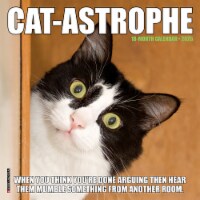 Willow Creek Press Cat-astrophe 18 Month 2025 Mini Calendar Perspective: Main