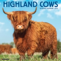 Highland Cows 2025 Wall Calendar Perspective: Main