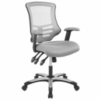 Scranton & Co Modern Mesh Adjustable Swivel Office Chair in Gray