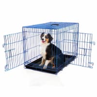 Backyard Expressions Double Door Wire Dog Kennel Pet Crate