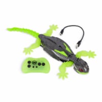 HEX BOTS Wall Crawler Gecko Remote Control Toy Perspective: Main