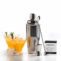 5pc Cocktail Shaker Set with Two Martini Glasses