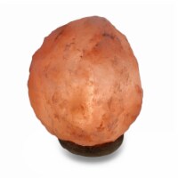 Natural Pink Himalayan Rock Salt Accent Lamp Night Light