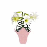 Potted Easter Lily - White