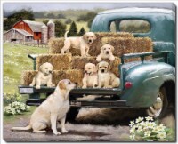 Streamline Art Truck Pups Printed Canvas