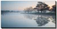 Streamline Art Lake in the Midst Printed Canvas