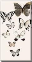 Butterflies Printed Canvas Wall Art Perspective: Main