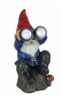 Forest Bird Watcher Garden Gnome Solar Eyes Solar LED Accent Light Sculpture - Blue