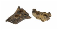 Set of 2 Natural Gamal Root Wood Double Tealight Candle Holders - 8 Inch