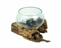 Blown Molten Glass Decorative Bowl / Terrarium On Teak Driftwood Base