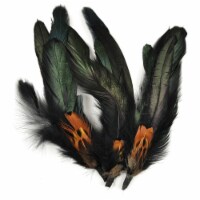 Feather Picks 5.5  3/Pkg-Natural Cocktail & Pheasant