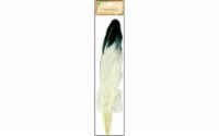 Simulated Eagle Feathers 4/Pkg-White W/Black Tip