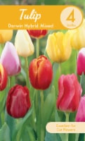 Garden State Bulb Darwin Hybrid Mixed Tulip Bulbs