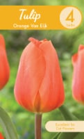 Garden State Bulb Orange Van Eijk Tulip Bulbs