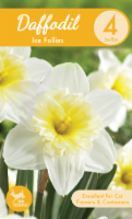 Garden State Bulb Ice Follies Daffodil Bulbs