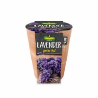Bonnie Plants Lavender Seeds Growing Kit Perspective: Main