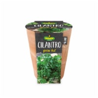 Bonnie Plants Cilantro Seeds Growing Kit Perspective: Main