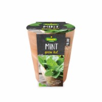 Bonnie Plants Mint Seeds Growing Kit Perspective: Main