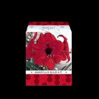 Garden State Bulb Amaryllis Red Lion