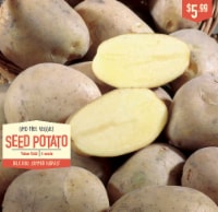 Garden State Bulb GMO Free Veggies Seed Potato - Yukon Gold Perspective: Main
