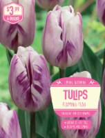 Garden State Bulb Tulip Flaming Flag Bulbs