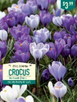 Garden State Bulb Crocus Blue Moon Mix Bulbs