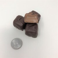 Gourmet Sugar Free Vanilla Caramels Milk Chocolate Candy 1 pound