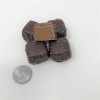 Gourmet Sugar Free Sea Salt Caramels Milk Chocolate Vanilla Caramels 1 pound