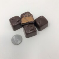 Gourmet Sugar Free Peanut Truffle Milk Chocolate Candy 1 pound