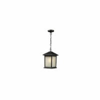 Z-Lite Holbrook Outdoor Chain Light in Black