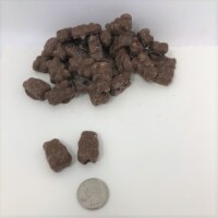 Chocolate covered Gummi Bears 2 pounds chocolate gummy bears