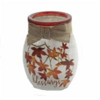 Stony Creek Fall Pre-Lit Vase Jar Glass Electric Thanksgiving Clg0280 Leaves